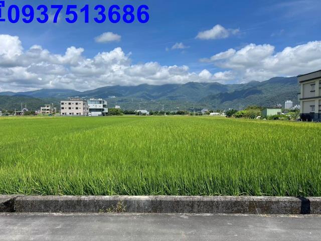 宜蘭縣壯圍鄉復興段農地出售