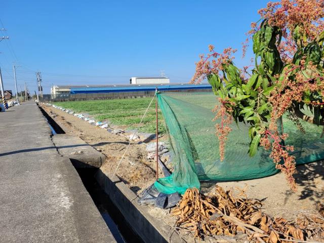 高雄農地-5