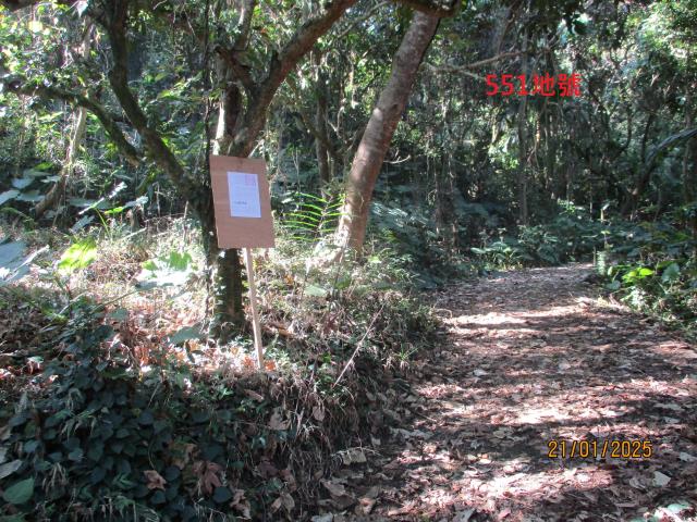 霧峰法拍農地-02