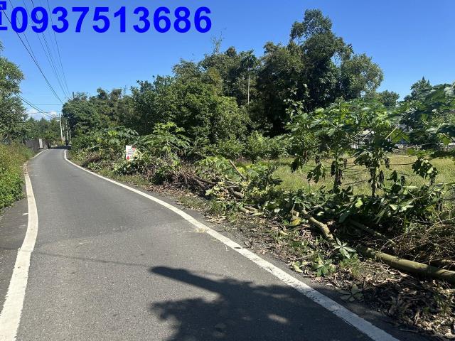 宜蘭礁溪農地-2