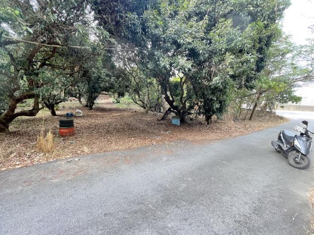 南投南投市農地-1