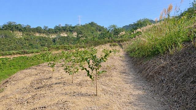 新竹北埔農地-9