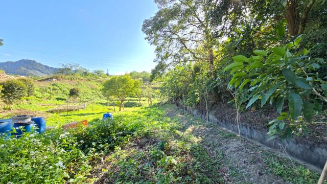 新竹北埔農地-3