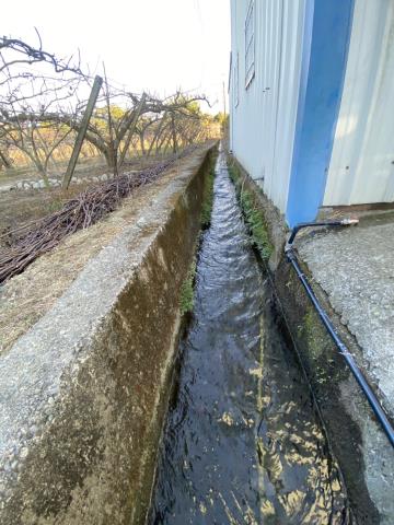 台中東勢農地-6