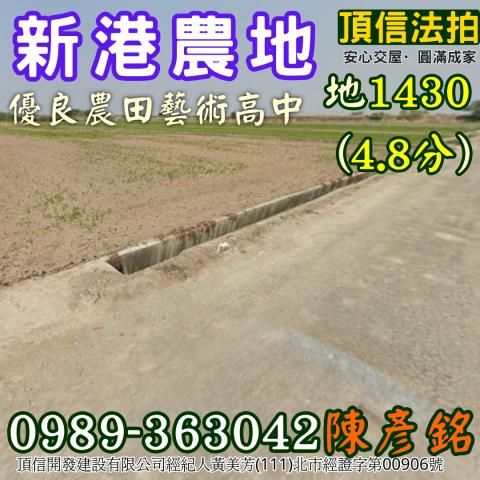 新港法拍農地-1