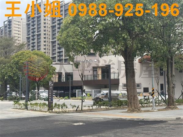 楊梅雙面臨路丁建