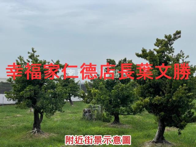 台南農地-10