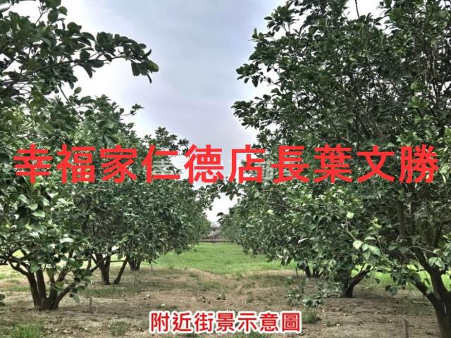 台南農地-11