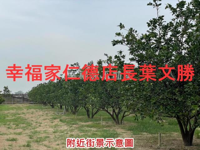 台南農地-12