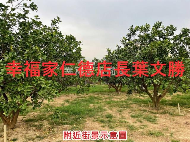 台南農地-8