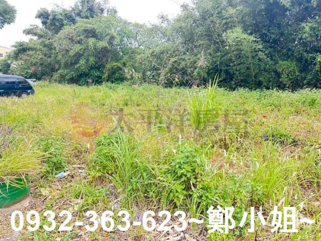 桃園八德農地-13