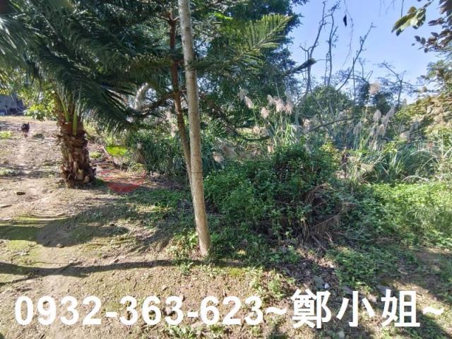 桃園桃園區農地-1