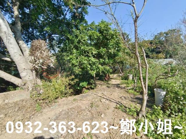 桃園桃園區農地-2