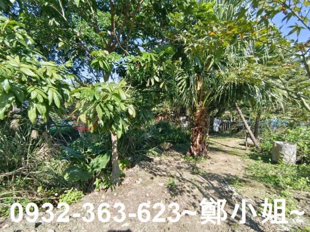 桃園桃園區農地-3