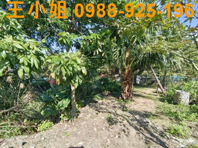 桃園桃園區農地-1