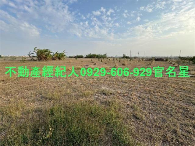 嘉義鹿草工業地-0