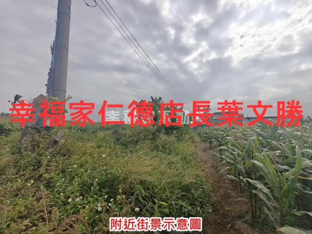 台南佳里農地-12