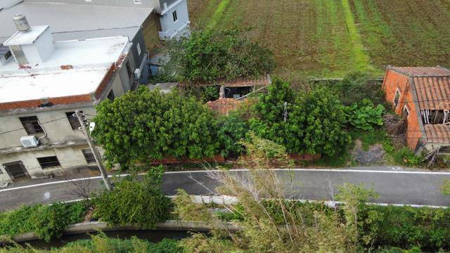 桃園新屋建地-0