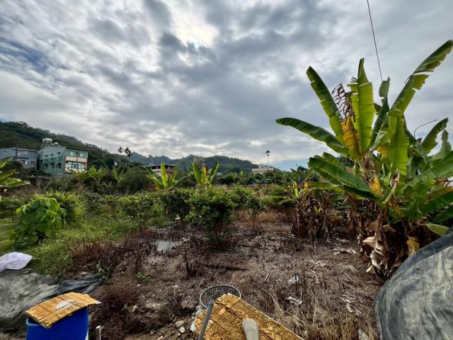 南投名間農地-4