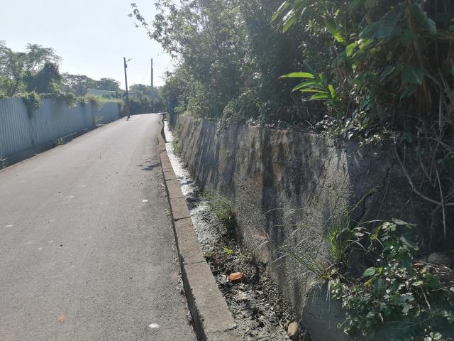 桃園中壢農地-8