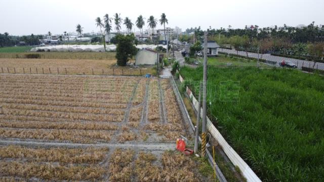 屏東屏東市農地-9