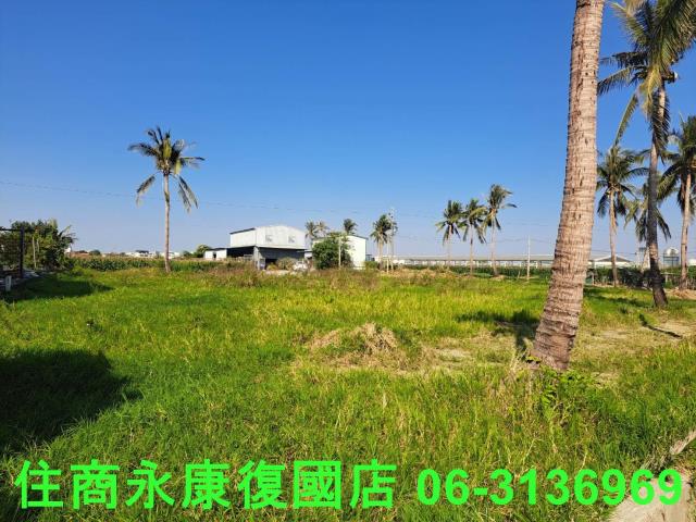 台南西港農地-5
