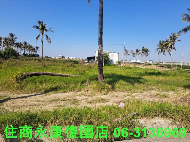 台南西港農地-6