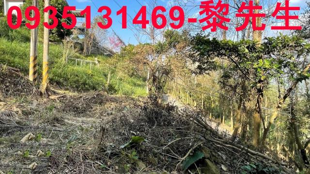 新竹縣芎林鄉農地農舍休閒地