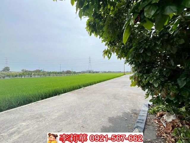 新營農地-2