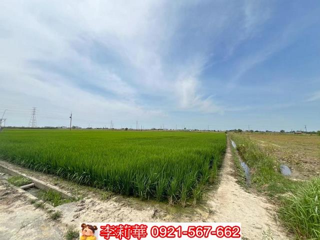 新營農地-4