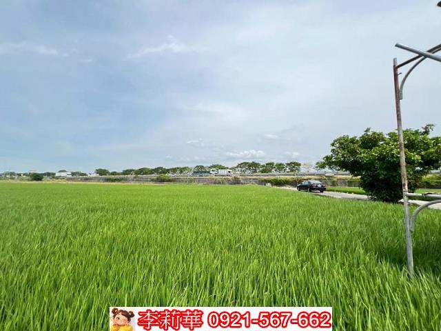新營農地-6