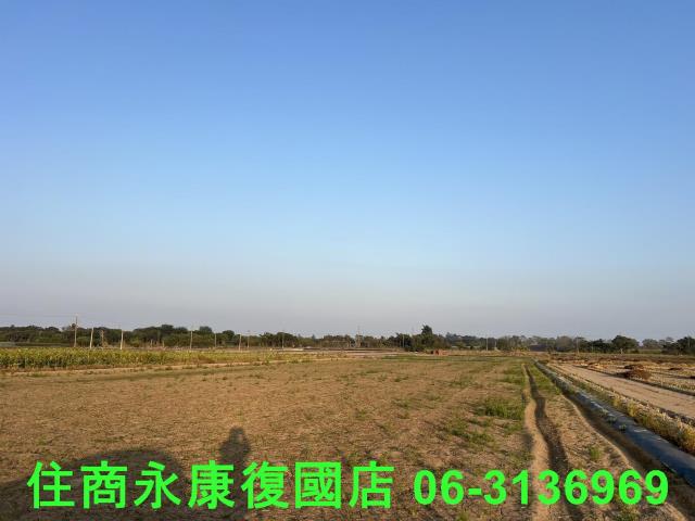善化農地-0