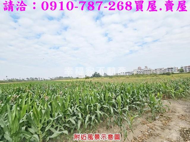善化農地-11