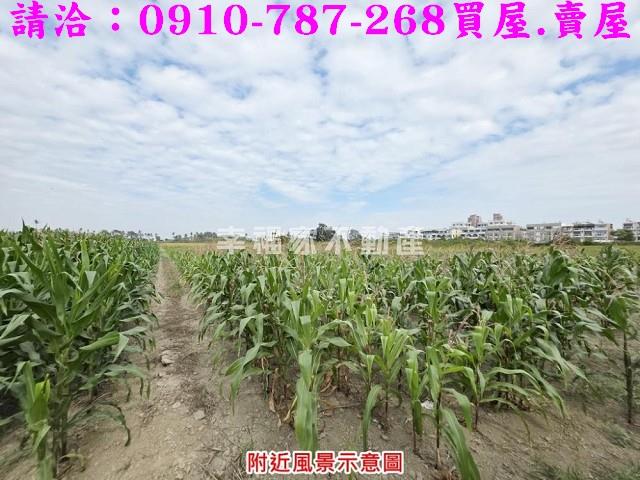 善化農地-8