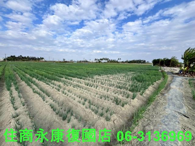 安南農地-5