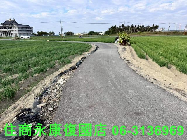 安南農地-6