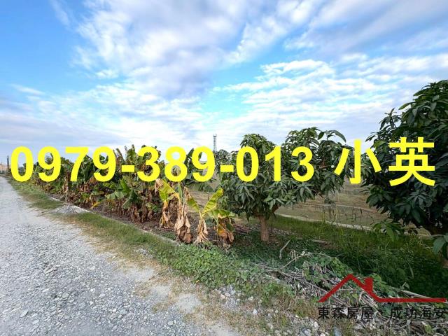 高雄路竹農地-3