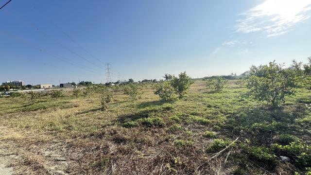 高雄湖內農地-11
