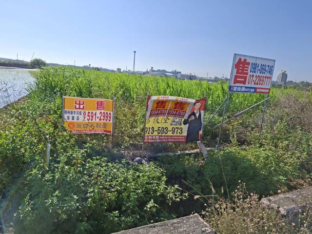 高雄橋頭農地-10