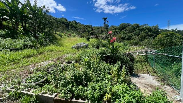 新竹峨眉農地-13