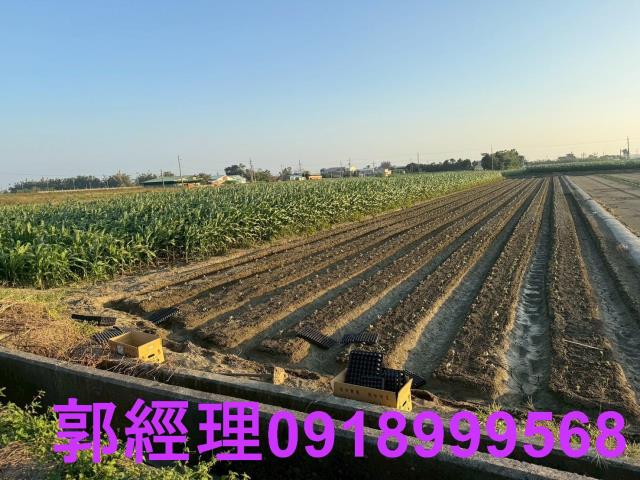 土地廠房工業地農地建地別墅豪宅透天大樓公寓套房