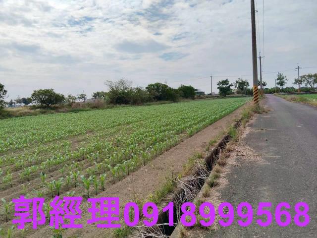 台南農地-2
