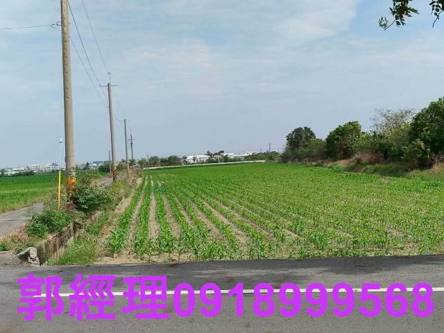 台南農地-7