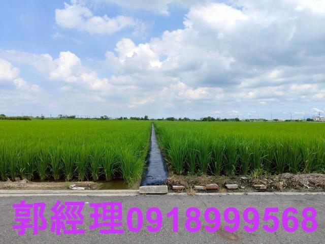台南農地-12