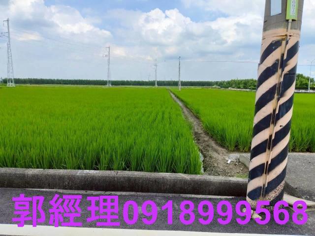 台南農地-7