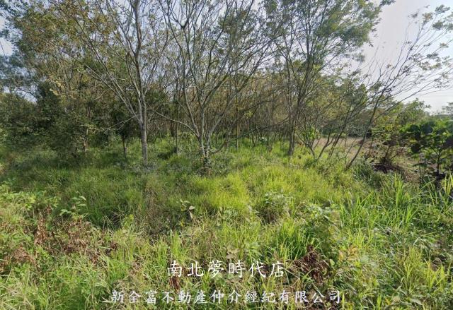 台南關廟農地-0