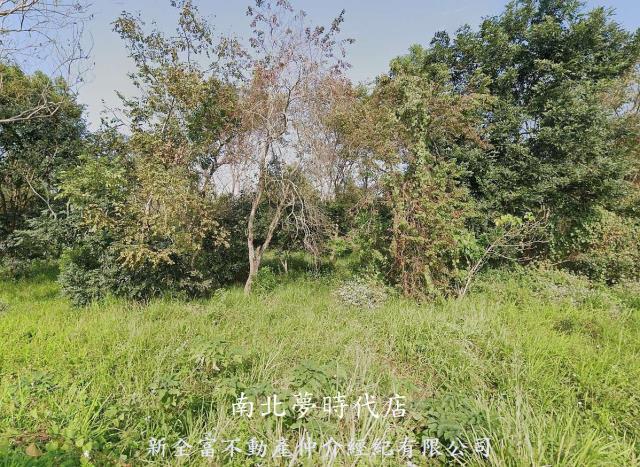 台南關廟農地-1