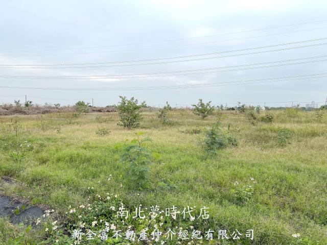 高雄湖內農地-0