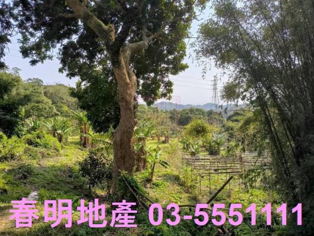 新竹竹東農地-3