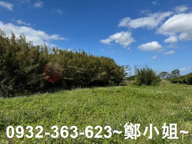 桃園大園農地-10